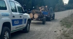 Cordillera | Lo pararon transportar leña sin guía y también tenía pedido de captura