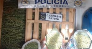 Corcovado | Operativo antidrogas: Las sustancias prohibidas secuestradas equivalen a  millones