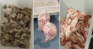 Esquel | Secuestraron más de 30 kilos de carne en mal estado de una fábrica de embutidos
