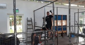 Milei mostró en redes cómo avanza en Olivos la construcción de los caniles para sus perros