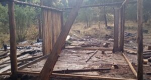 Desarticularon nuevas tomas de tierras en Lago Puelo