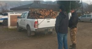 Incautan carga ilegal de leña de ñire en El Pedregoso