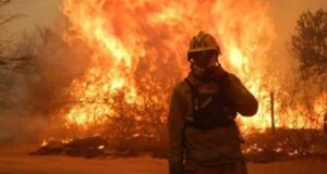 Incendios en Córdoba: elevan a .000 millones el Fondo Permanente para Atención de Desastre