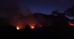 Incendio en el Parque Nacional Los Alerces