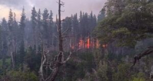 El incendio en El Pedregoso continúa fuera de control