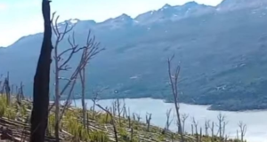 El incendio en el Parque Los Alerces lleva afectadas 1066 hectáreas de bosque nativo