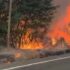 Incendios devastan el sur de Chile