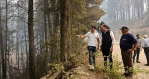 Millonaria recompensa para dar con los responsables de los incendios en Chubut