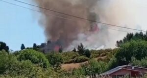 Confirman que el incendio en Cholila fue intencional