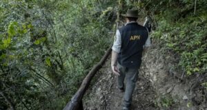 Parques Nacionales lanzó un retiro voluntario