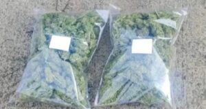 Detectan venta de droga frente a una plaza en El Bolsón y hay detenidos