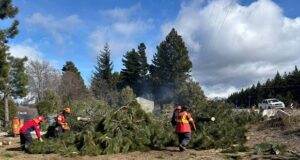 La Secretaría de Bosques impulsa planes para prevenir incendios forestales