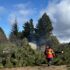 La Secretaría de Bosques impulsa planes para prevenir incendios forestales