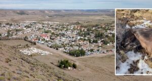 Misterio en Río Mayo: hallan cinco caballos muertos con extrañas lesiones